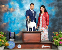 French Bulldog #10 Sat WB Judge Johnny Shoemaker