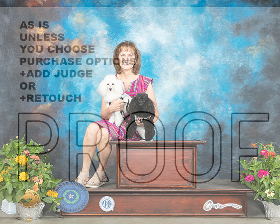 Poodles Toy Marcheta Goodwin_MMJ_1321_SanAnonio2021_HR3
