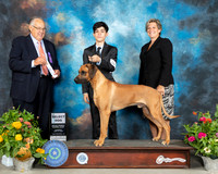 Rhodesian Ridgeback #9 Sat SD Judge John Wade