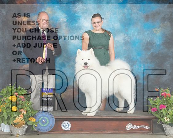 Samoyed #9 Sat BOB Judge John Constatine Amodei_MMJ_1355_SanAnonio2021_HR3