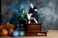 Chinese Crested #8 Sat BOBOHBOB Judge Donnelle Richards