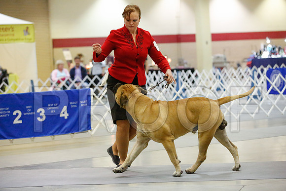 _JJ_8111-AmarilloSept2014-HR3
