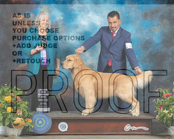Golden Retriever #41 Sat WD Judge Lori Nelson_MMJ_1464_SanAnonio2021_HR3