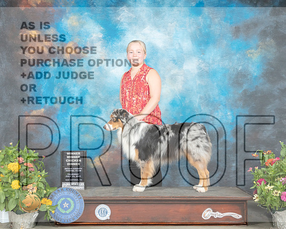 Australian Shepherd Karen Dahle_MMJ_1556_SanAnonio2021_HR3