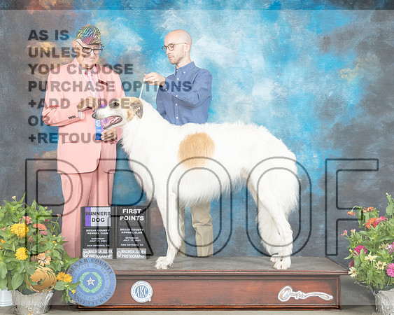 Borzoi #17 Sat WD Judge Johnny Shoemaker_MMJ_1500_SanAnonio2021_HR3
