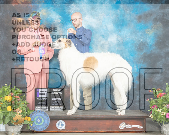 Borzoi #17 Sat WD Judge Johnny Shoemaker_MMJ_1503_SanAnonio2021_HR3