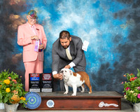 Bulldog #12 Sat BOS Judge Johnny Shoemaker