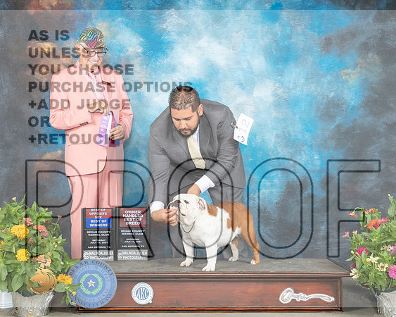 Bulldog #12 Sat BOS Judge Johnny Shoemaker_MMJ_1480_SanAnonio2021_HR3