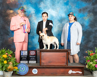 French Bulldog #17 Sat BOW Judge Johnny Shoemaker