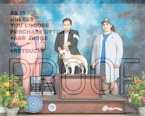 French Bulldog #17 Sat BOW Judge Johnny Shoemaker_MMJ_1508_SanAnonio2021_HR3
