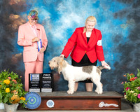 GBGV #5 BOW Judge Johnny Shoemaker