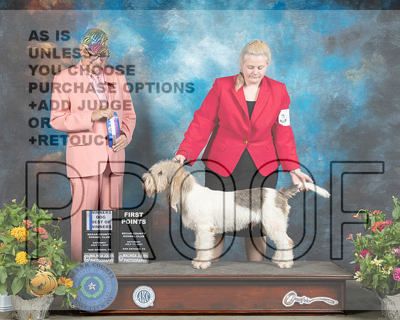 GBGV #5 BOW Judge Johnny Shoemaker_MMJ_1484_SanAnonio2021_HR3