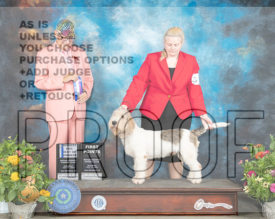 GBGV #5 BOW Judge Johnny Shoemaker_MMJ_1485_SanAnonio2021_HR3