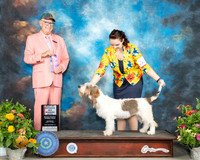 GBGV #8 Sat BOS Judge Johnny Shoemaker