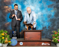 Russian Toy #308 Sat 6to91st Judge Joao Machado