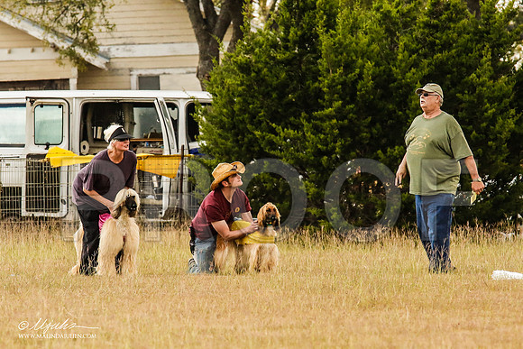 _MJ_5023-AfgBeltonOct2014-HR3