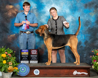Bloodhound #6 Sat BOB Judge Lori Nelson