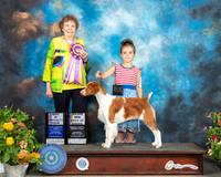 Brittany #? BISS Judge Laurie Telfair