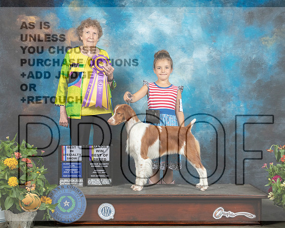 Brittany #? BISS Judge Laurie Telfair_MMJ_1567_SanAnonio2021_HR3