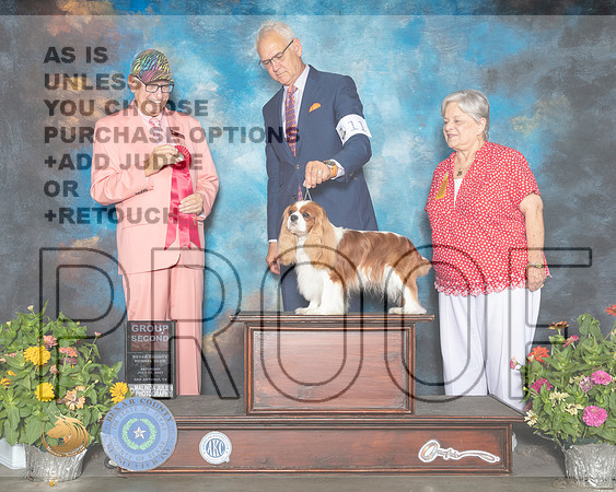 Cavalier King Charles Spaniel #11 Sat G2 Judge Johnny Shoemaker_MMJ_1795_SanAnonio2021_HR3