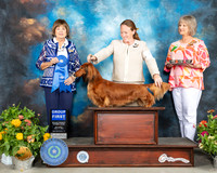 Dachshund #5 Sat G1 Judge Linn Brown