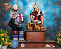 Dachshund Longhaired #10 Sat WB #6 BOS Judge Claire Mancha