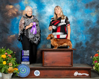 Dachsund Longhaired #10 Sat WB Judge Claire Mancha