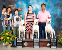 Dogo Argentino Family