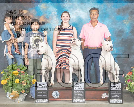 Dogo Argentino Family_MMJ_1730_SanAnonio2021_HR3