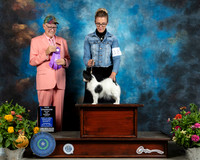 Papillon #18 Sat WB Judge Johnny Shoemaker