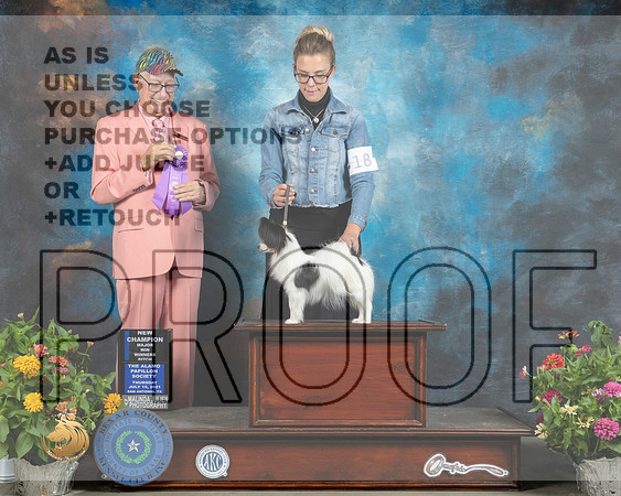 Papillon #18 Sat WB Judge Johnny Shoemaker_MMJ_1699_SanAnonio2021_HR3
