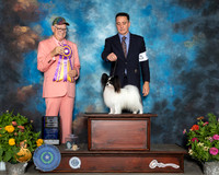 Papillon #5 Sat BISS Judge Johnny Shoemaker