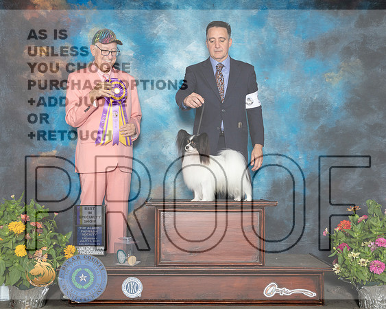 Papillon #5 Sat BISS Judge Johnny Shoemaker_MMJ_1692_SanAnonio2021_HR3