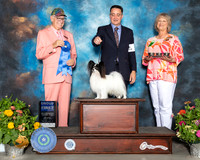 Papillon #5 Sat G1 Judge Johnny Shoemaker