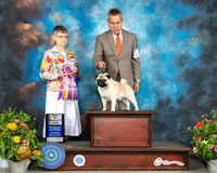 Pug #11 Sat BISS Judge Donna Buxton