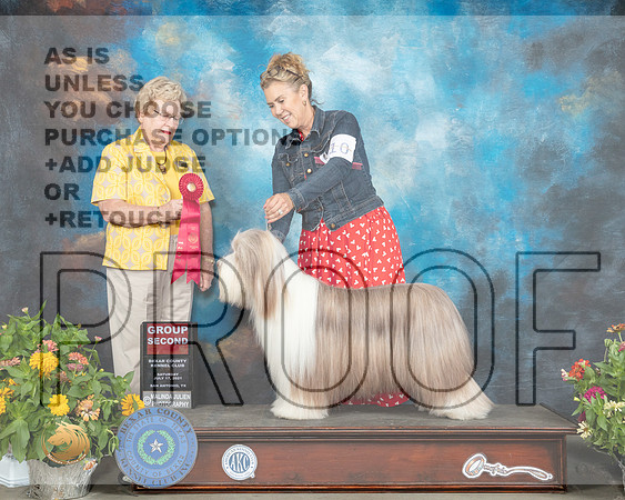 Bearded Collie #10 Sat G2 Judge Judy Brown_MMJ_2059_SanAnonio2021_HR3