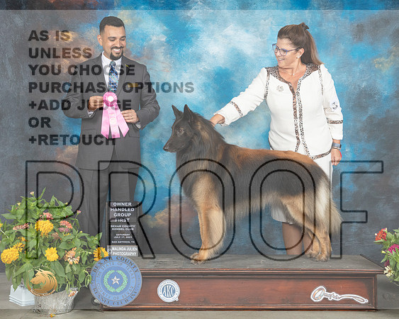 Belgian Tervuren #5 Sat OHG1 Judge Joao Machado_MMJ_2100_SanAnonio2021_HR3