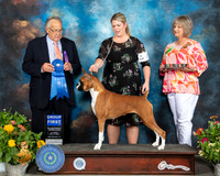 Boxer #6 Sat G1 Judge John Wade