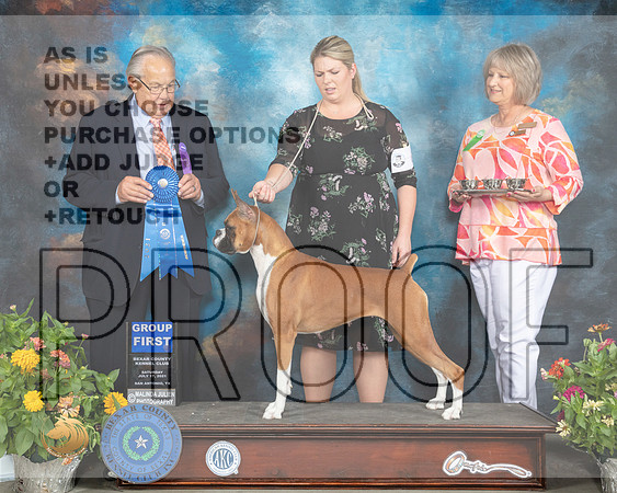 Boxer #6 Sat G1 Judge John Wade_MMJ_2013_SanAnonio2021_HR3