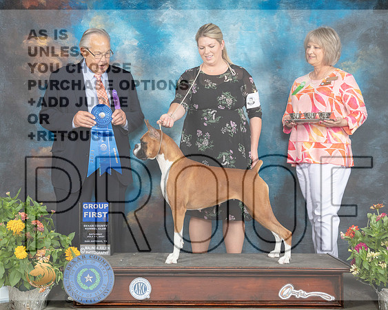 Boxer #6 Sat G1 Judge John Wade_MMJ_2015_SanAnonio2021_HR3