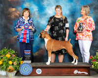 Boxer #6 Sat RBIS Judge Linn Brown