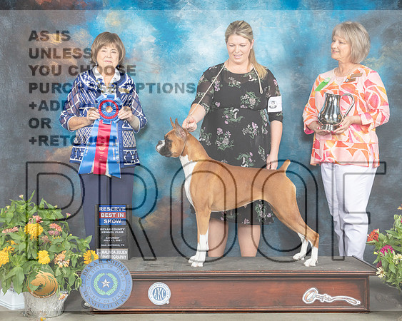 Boxer #6 Sat RBIS Judge Linn Brown_MMJ_2092_SanAnonio2021_HR3