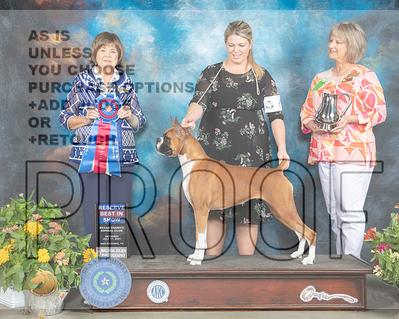Boxer #6 Sat RBIS Judge Linn Brown_MMJ_2094_SanAnonio2021_HR3