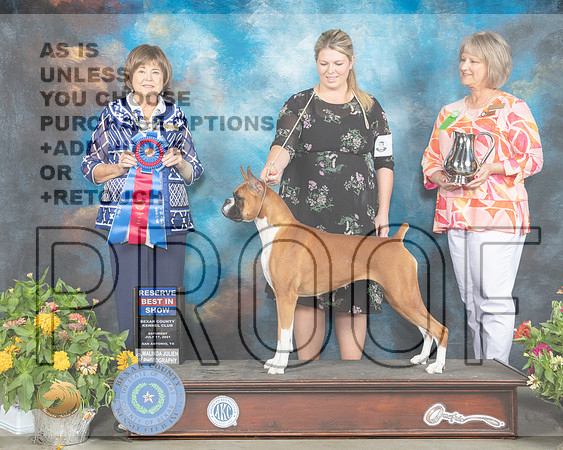 Boxer #6 Sat RBIS Judge Linn Brown_MMJ_2096_SanAnonio2021_HR3