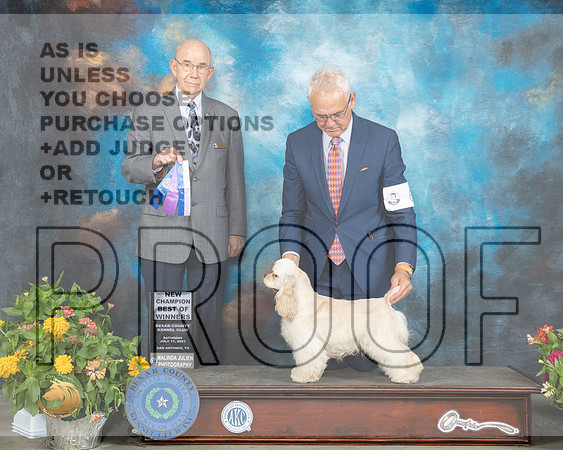 Cocker Spaniel ASCOB #6 Sat G2 Judge Ken Buxton_MMJ_2003_SanAnonio2021_HR3