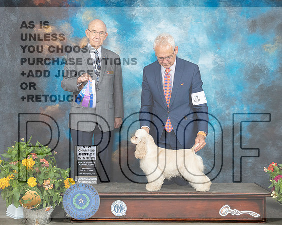 Cocker Spaniel ASCOB #6 Sat G2 Judge Ken Buxton_MMJ_2004_SanAnonio2021_HR3