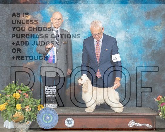 Cocker Spaniel ASCOB #6 Sat G2 Judge Ken Buxton_MMJ_2005_SanAnonio2021_HR3
