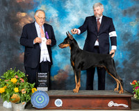 Doberman Pinscher #17 Sat G4 Judge John Wade