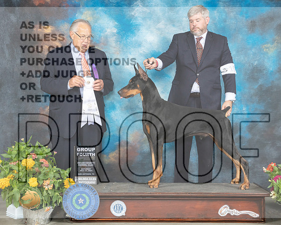Doberman Pinscher #17 Sat G4 Judge John Wade_MMJ_2026_SanAnonio2021_HR3