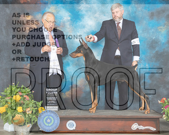 Doberman Pinscher #17 Sat G4 Judge John Wade_MMJ_2029_SanAnonio2021_HR3
